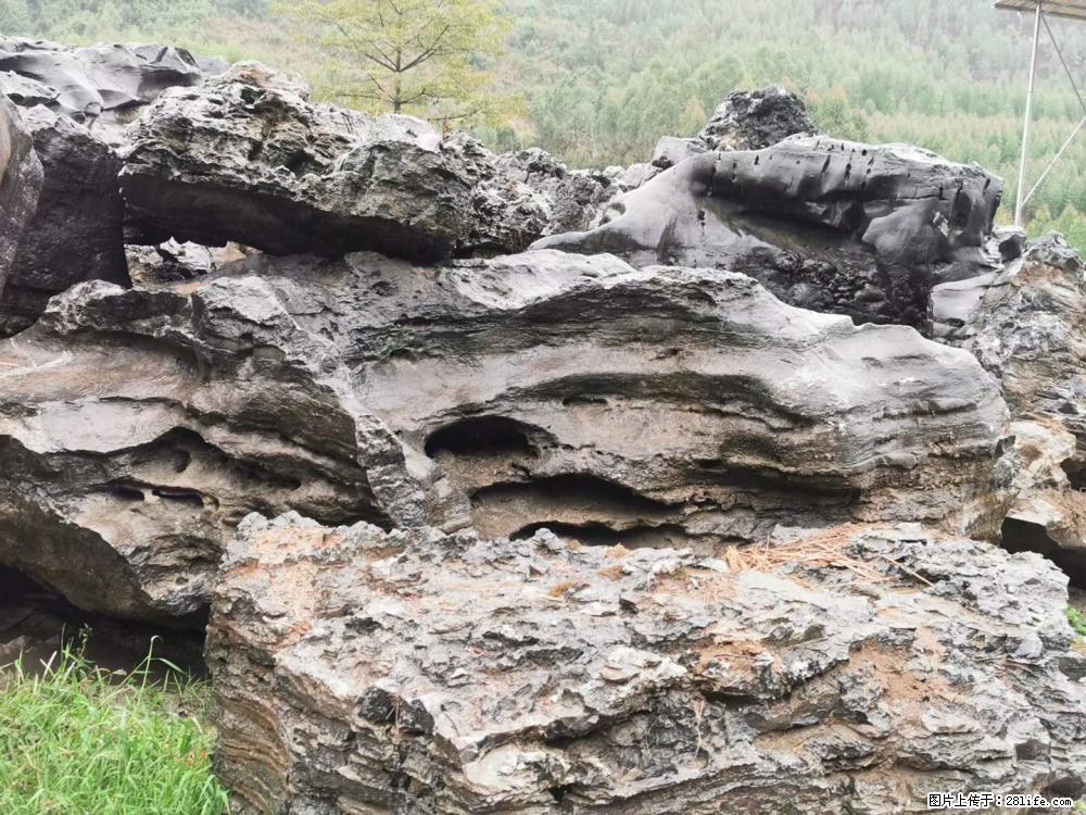 风景石、假山石大量有货，有需要的欢迎联系 - 新手上路 - 哈尔滨生活社区 - 哈尔滨28生活网 hrb.28life.net