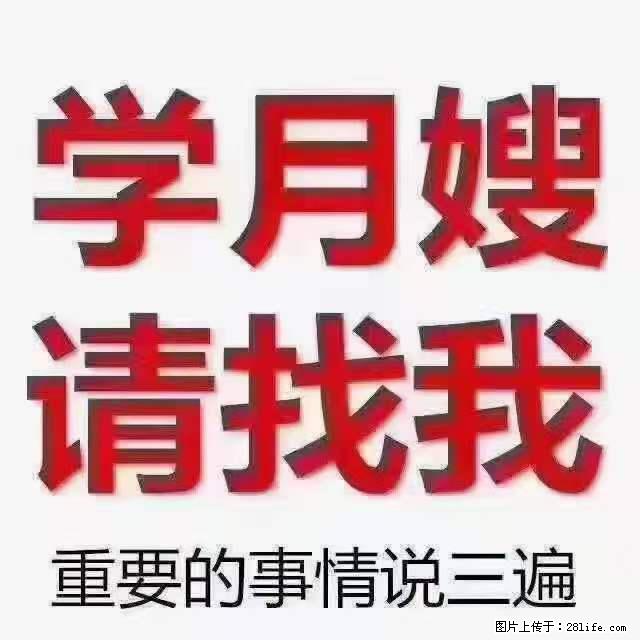 为什么要学习月嫂，育婴师？ - 新手上路 - 哈尔滨生活社区 - 哈尔滨28生活网 hrb.28life.net