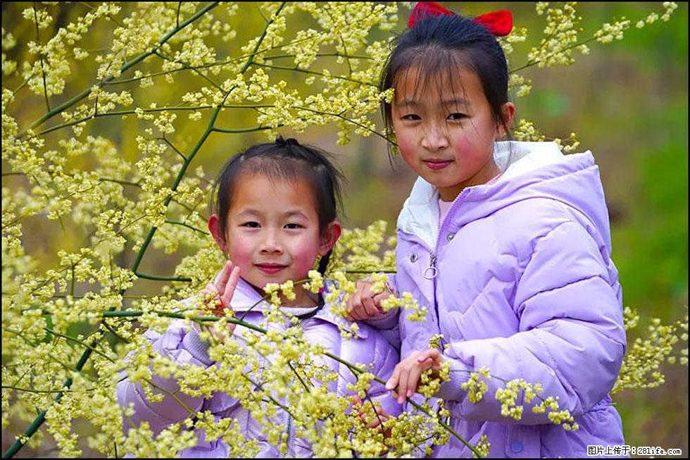 【春天，广西桂林灌阳县向您发出邀请！】米珠山前有片山苍子花在飘香 - 游山玩水 - 哈尔滨生活社区 - 哈尔滨28生活网 hrb.28life.net
