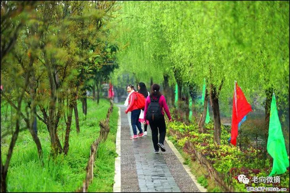 【春天，广西桂林灌阳县向您发出邀请！】江口老街又逢春 - 游山玩水 - 哈尔滨生活社区 - 哈尔滨28生活网 hrb.28life.net