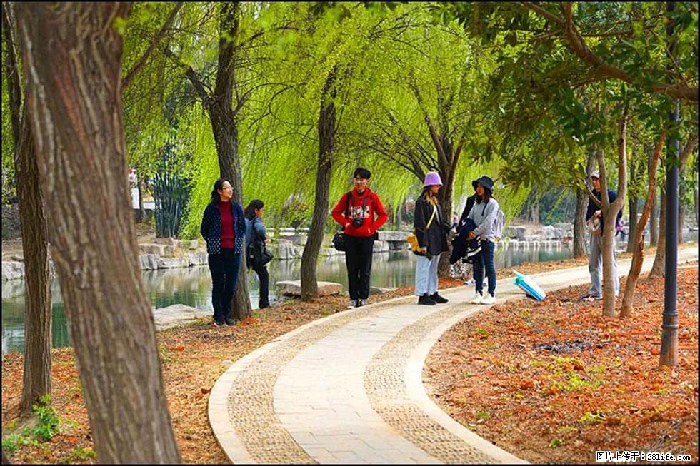 【春天，广西桂林灌阳县向您发出邀请！】江口老街又逢春 - 游山玩水 - 哈尔滨生活社区 - 哈尔滨28生活网 hrb.28life.net