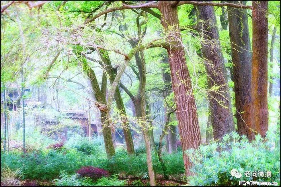 【春天，广西桂林灌阳县向您发出邀请！】在小龙村与春天约会 - 游山玩水 - 哈尔滨生活社区 - 哈尔滨28生活网 hrb.28life.net