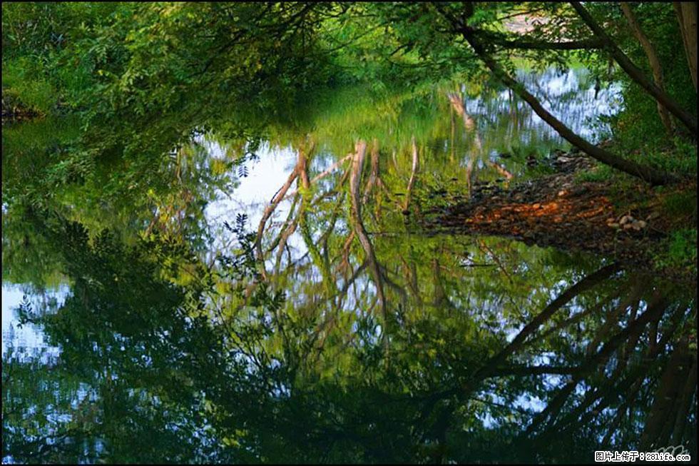 【春天，广西桂林灌阳县向您发出邀请！】熊家寨湿地公园 - 游山玩水 - 哈尔滨生活社区 - 哈尔滨28生活网 hrb.28life.net