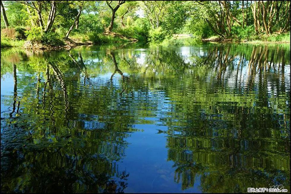 【春天，广西桂林灌阳县向您发出邀请！】熊家寨湿地公园 - 游山玩水 - 哈尔滨生活社区 - 哈尔滨28生活网 hrb.28life.net