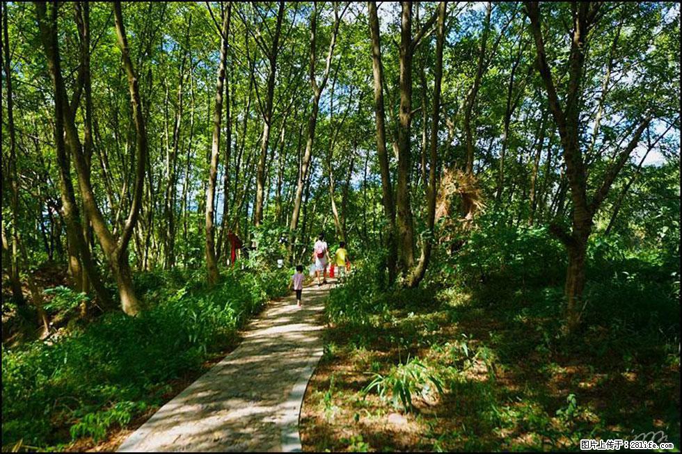【春天，广西桂林灌阳县向您发出邀请！】熊家寨湿地公园 - 游山玩水 - 哈尔滨生活社区 - 哈尔滨28生活网 hrb.28life.net