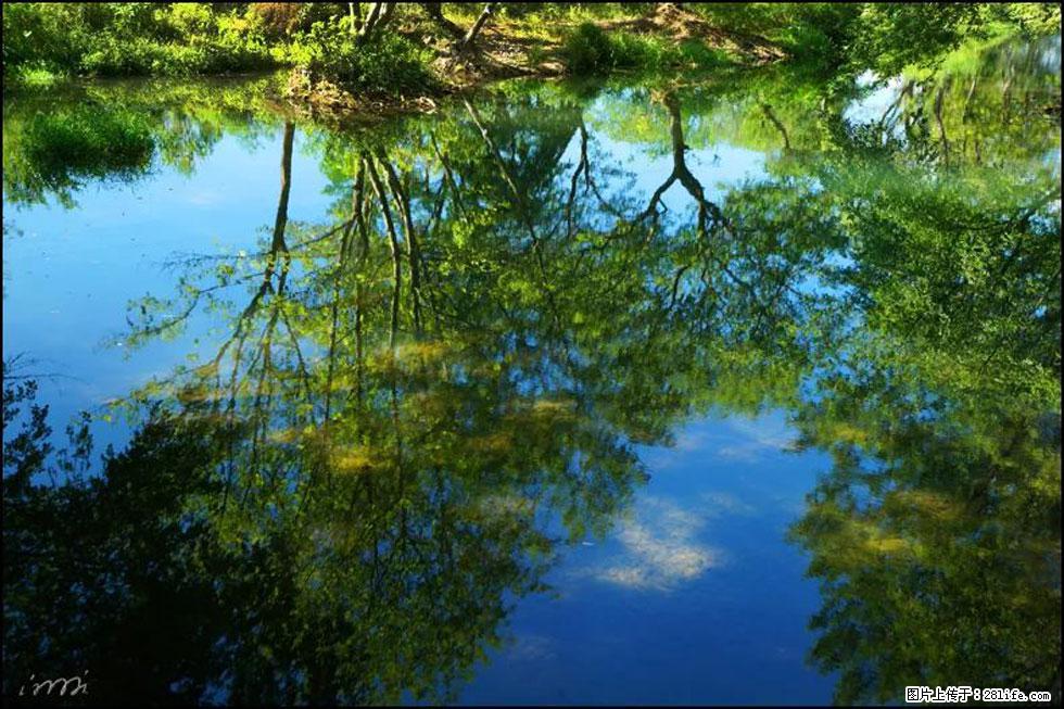 【春天，广西桂林灌阳县向您发出邀请！】熊家寨湿地公园 - 游山玩水 - 哈尔滨生活社区 - 哈尔滨28生活网 hrb.28life.net