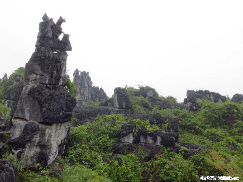 桂林旅游名城景点:灌阳文市石林 - 游山玩水 - 哈尔滨生活社区 - 哈尔滨28生活网 hrb.28life.net