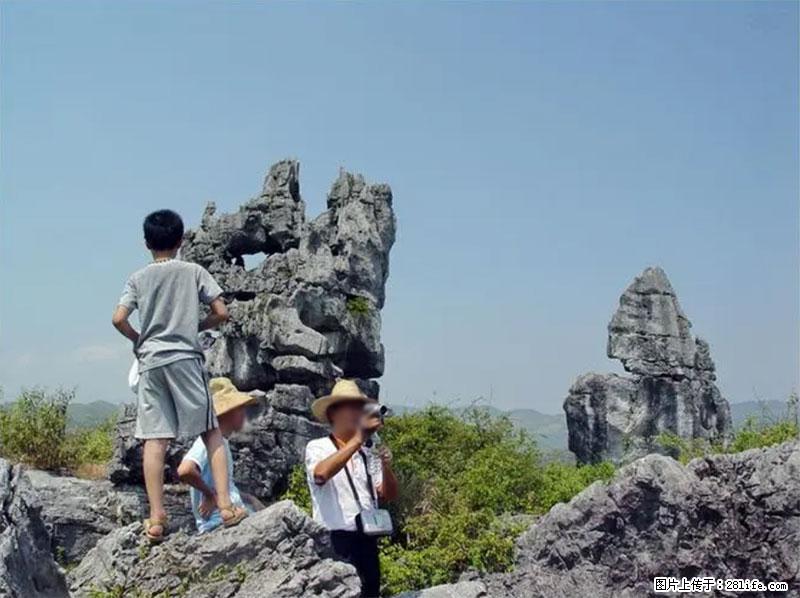 桂林旅游名城景点:灌阳文市石林 - 游山玩水 - 哈尔滨生活社区 - 哈尔滨28生活网 hrb.28life.net