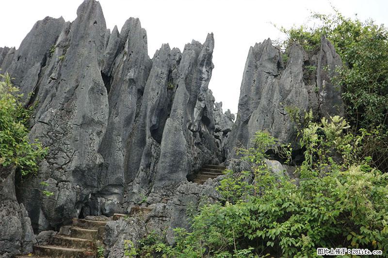 桂林旅游名城景点:灌阳文市石林 - 游山玩水 - 哈尔滨生活社区 - 哈尔滨28生活网 hrb.28life.net