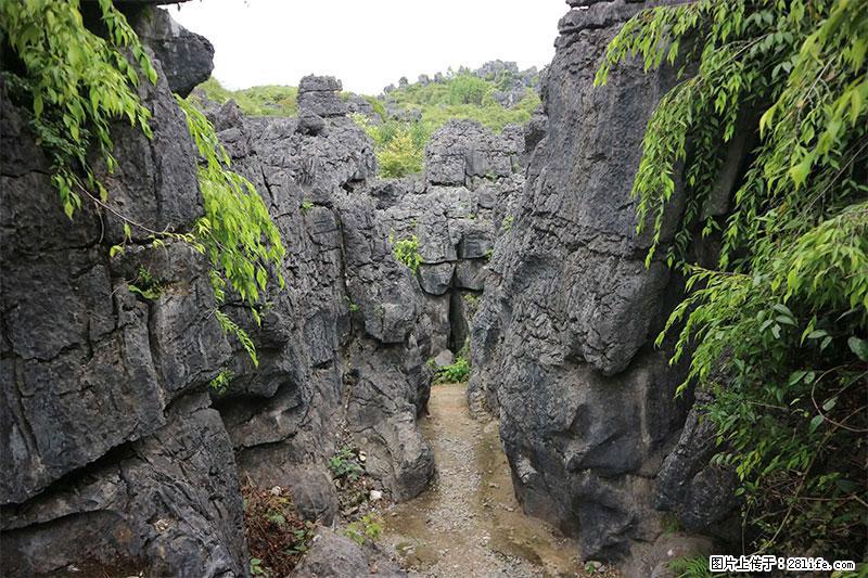 桂林旅游名城景点:灌阳文市石林 - 游山玩水 - 哈尔滨生活社区 - 哈尔滨28生活网 hrb.28life.net