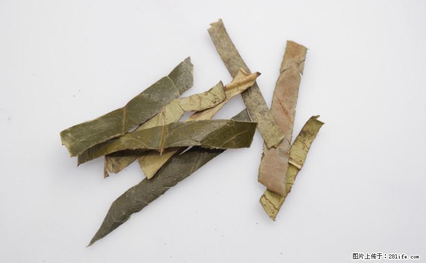 苦丁茶有哪些功效和作用 - 生活百科 - 哈尔滨生活社区 - 哈尔滨28生活网 hrb.28life.net