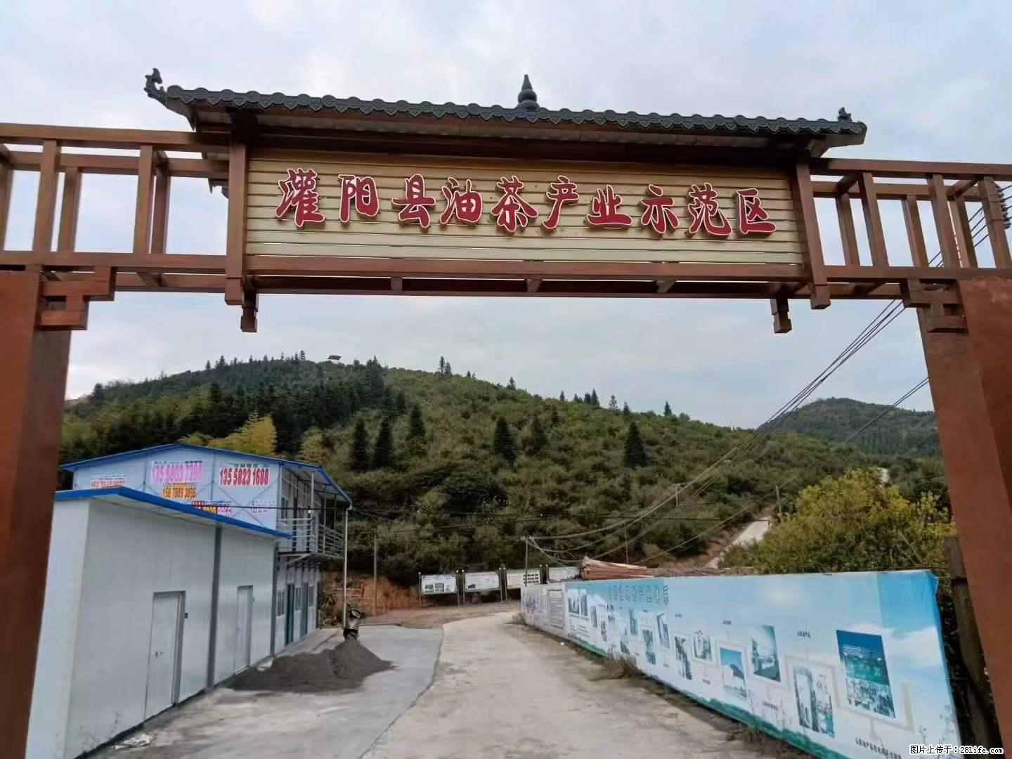【灌阳县油茶产业示范区】一个有着充实的精神生活的人，对待身外之物自会有一种淡泊的态度 - 土特产 - 饮食特产 - 哈尔滨分类信息 - 哈尔滨28生活网 hrb.28life.net