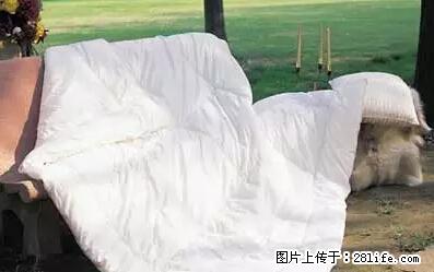 被子有异味？只要这样做，比晒太阳还强100倍！ - 家居生活 - 哈尔滨生活社区 - 哈尔滨28生活网 hrb.28life.net