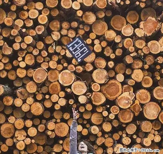 辞掉工作周游世界？现在他们在洗厕所…… - 游山玩水 - 哈尔滨生活社区 - 哈尔滨28生活网 hrb.28life.net