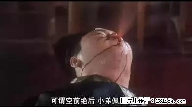 笑癫了！一女的怀孕三年未生，他终于忍不住了... - 娱乐八卦 - 哈尔滨生活社区 - 哈尔滨28生活网 hrb.28life.net