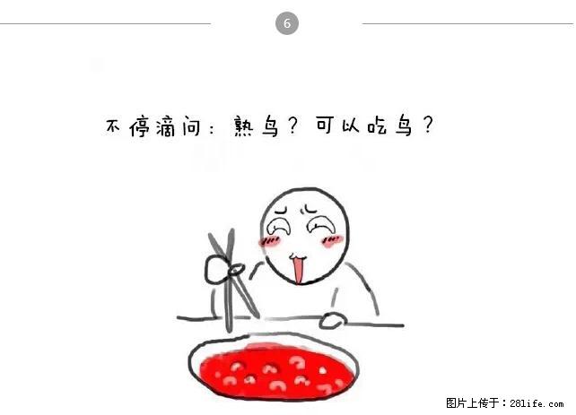 千万不要和这9种哈卵一起吃火锅！ - 美食天地 - 哈尔滨生活社区 - 哈尔滨28生活网 hrb.28life.net