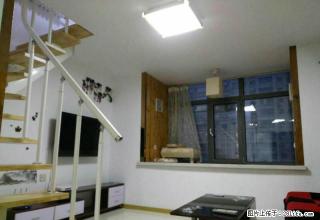 开发区会展中心悦山国际loft豪装一室一厅另有华鸿金色善上居 - 哈尔滨28生活网 hrb.28life.net