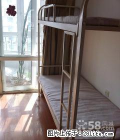 (单间出租)顾乡顾乡清河湾小 温馨如家 采光好 精品男女床 - 房屋出租 - 房屋租售 - 哈尔滨分类信息 - 哈尔滨28生活网 hrb.28life.net