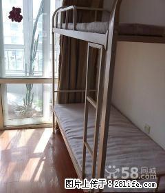 (单间出租)顾乡顾乡清河湾小 温馨如家 采光好 精品男女床 - 哈尔滨28生活网 hrb.28life.net