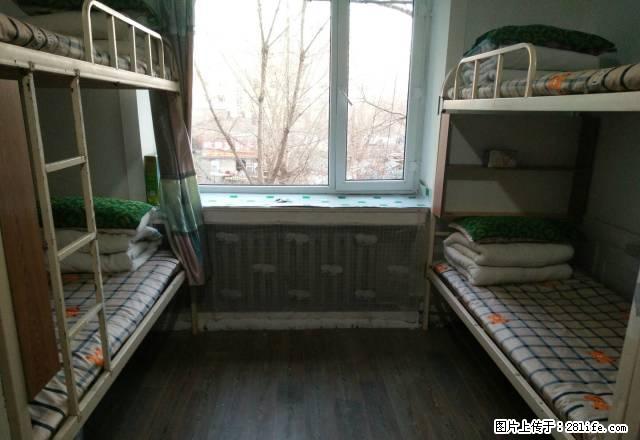 (单间出租)新开道台府对面男寝，能洗澡包水电网，提供行李月 ，无中介费 - 房屋出租 - 房屋租售 - 哈尔滨分类信息 - 哈尔滨28生活网 hrb.28life.net