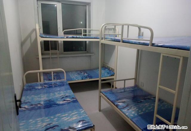 (单间出租)房东租男床！能洗澡！和兴商厦后面无押金！住3个月第4个月半价 - 房屋出租 - 房屋租售 - 哈尔滨分类信息 - 哈尔滨28生活网 hrb.28life.net
