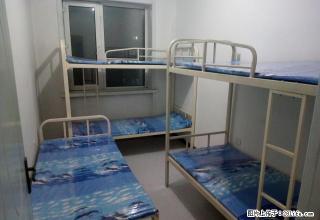 (单间出租)房东租男床！能洗澡！和兴商厦后面无押金！住3个月第4个月半价 - 哈尔滨28生活网 hrb.28life.net