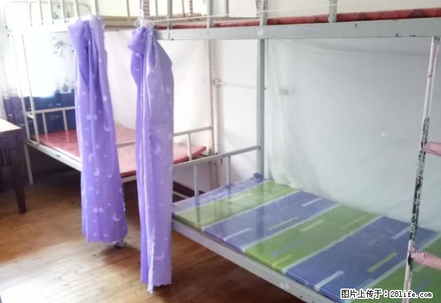 (单间出租)新阳路3楼房主出租女生包水电网专人收拾卫生 - 房屋出租 - 房屋租售 - 哈尔滨分类信息 - 哈尔滨28生活网 hrb.28life.net