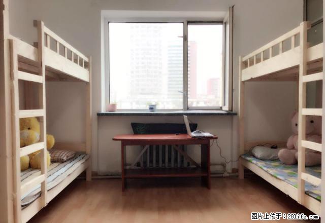 (单间出租)高档男生宿舍，设施齐全，透龙对面金太阳石头道街另有女生宿舍。 - 房屋出租 - 房屋租售 - 哈尔滨分类信息 - 哈尔滨28生活网 hrb.28life.net