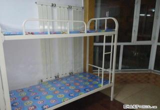 (单间出租)个人租女生 乐松广场 幸福路家乐福万达松雷 - 哈尔滨28生活网 hrb.28life.net