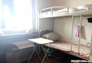 (单间出租)租男床_位拎包即住西大直街与通达街交囗洗衣冼澡免费wifi - 哈尔滨28生活网 hrb.28life.net