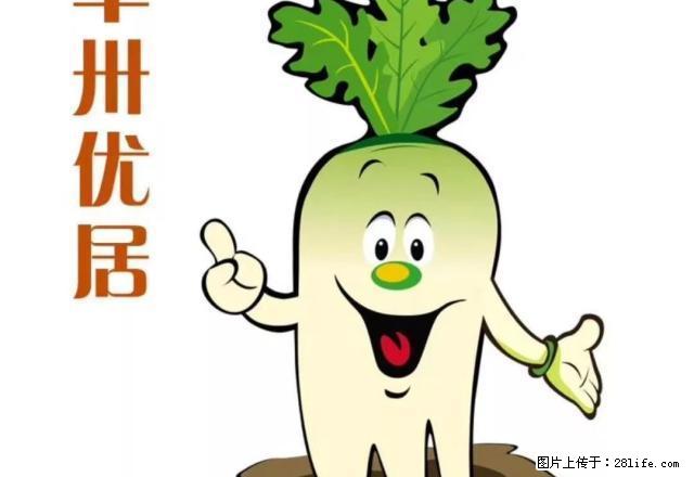 南京路 地恒托斯卡纳 精装修 家电齐全 拎包入住 - 房屋出租 - 房屋租售 - 哈尔滨分类信息 - 哈尔滨28生活网 hrb.28life.net