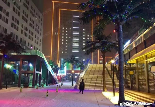 哈西 汇龙北纬45度 图片为实拍图片 房子本身比图片好看多了 - 房屋出租 - 房屋租售 - 哈尔滨分类信息 - 哈尔滨28生活网 hrb.28life.net