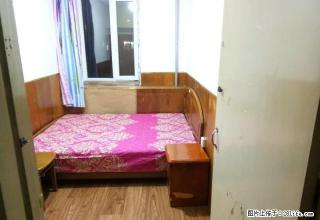 (单间出租)中央大街上游街两室合厨租女生，设施齐全拎包即住，干净整洁。 - 哈尔滨28生活网 hrb.28life.net