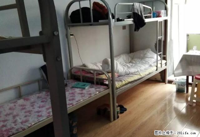 (单间出租)西大直街 西大桥 哈特 通达街地铁口 骨伤科医院 清明七道 - 房屋出租 - 房屋租售 - 哈尔滨分类信息 - 哈尔滨28生活网 hrb.28life.net