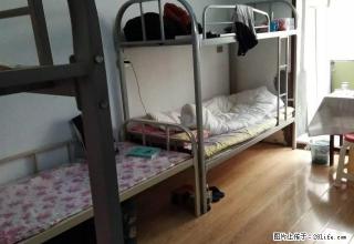 (单间出租)西大直街 西大桥 哈特 通达街地铁口 骨伤科医院 清明七道 - 哈尔滨28生活网 hrb.28life.net