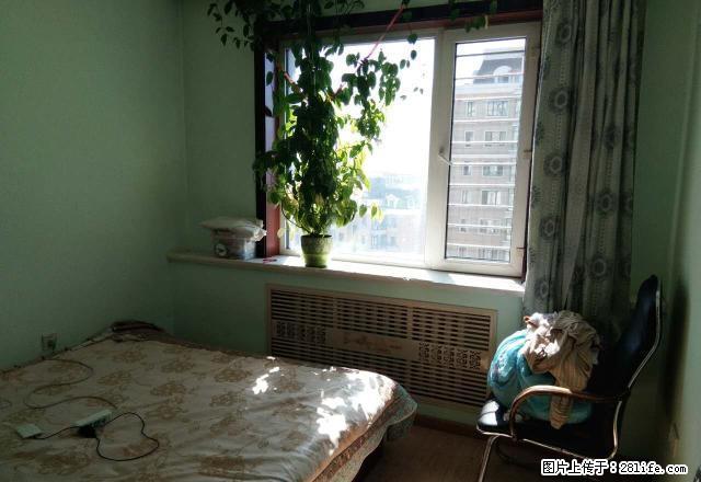 哈西阳光家园两室一厅拎包入住50米随时看房一眼就相中9.16 - 房屋出租 - 房屋租售 - 哈尔滨分类信息 - 哈尔滨28生活网 hrb.28life.net