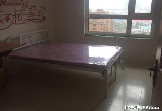 单间出租 新小区 高层住宅 精装修 500至800 包水电网 - 哈尔滨28生活网 hrb.28life.net