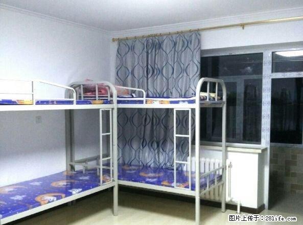 (单间出租)房东特干净实图红旗大街 会展 贺达小区床.位3间4间6间 - 房屋出租 - 房屋租售 - 哈尔滨分类信息 - 哈尔滨28生活网 hrb.28life.net