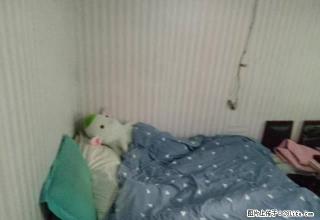 跟照片一样 支持月付一室一厅700 乐松商圈 林大校区 - 哈尔滨28生活网 hrb.28life.net