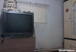 {可短租}松雷中央商城金安国际附近简装带家具大两屋一厨 - 哈尔滨28生活网 hrb.28life.net