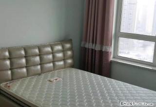 (单间出租)家的温馨 简约而不简单 好的不只是一点点 看图说话 凯德商圈 - 哈尔滨28生活网 hrb.28life.net