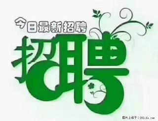 【招聘摄像师】待遇：试用期6000元/月，转正7000元/月+五险一金+餐补+节日福利+奖金 - 哈尔滨28生活网 hrb.28life.net