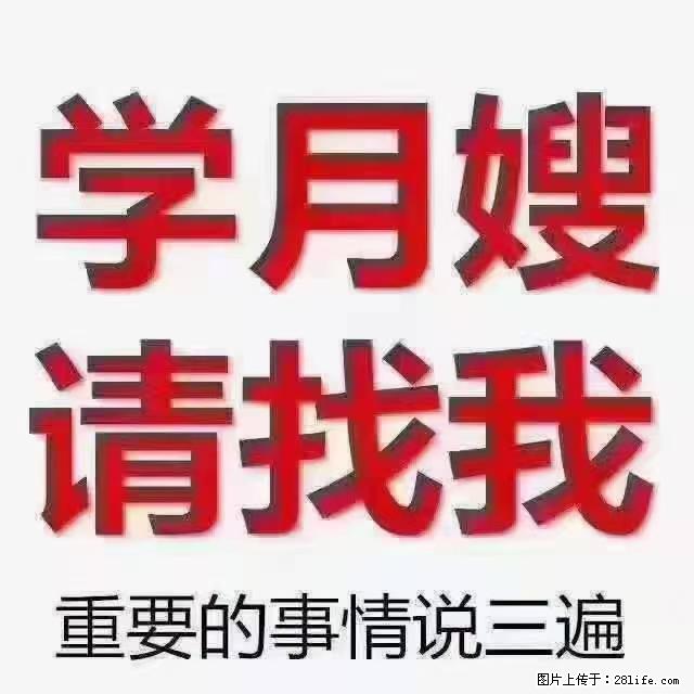 【招聘】月嫂，上海徐汇区 - 职场交流 - 哈尔滨生活社区 - 哈尔滨28生活网 hrb.28life.net