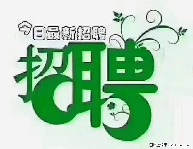 上海隔离酒店招人：55岁以下 男女不限 - 职场交流 - 哈尔滨生活社区 - 哈尔滨28生活网 hrb.28life.net