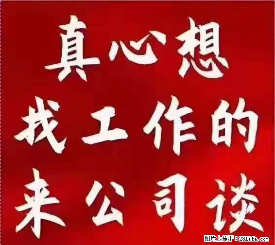 【上海】国企，医院招两名男保安，55岁以下，身高1.7米以上，无犯罪记录不良嗜好 - 职场交流 - 哈尔滨生活社区 - 哈尔滨28生活网 hrb.28life.net