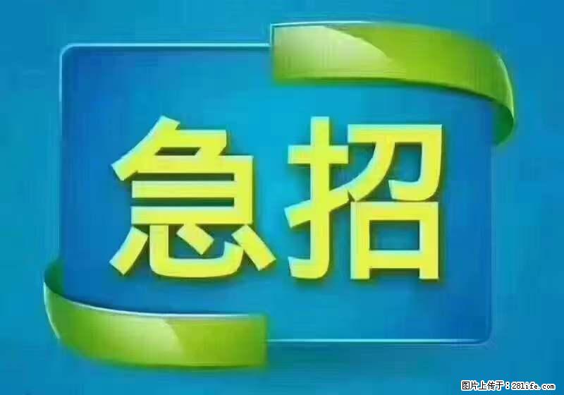 招出纳8000元/月，无证可以，要有相关经验，上海五险一金，包住，包工作餐，做六休一。 - 职场交流 - 哈尔滨生活社区 - 哈尔滨28生活网 hrb.28life.net