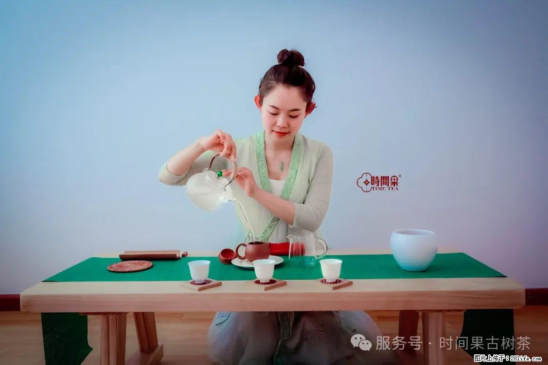 时间果百年古树龙珠普洱生茶 - 购物交流 - 哈尔滨生活社区 - 哈尔滨28生活网 hrb.28life.net