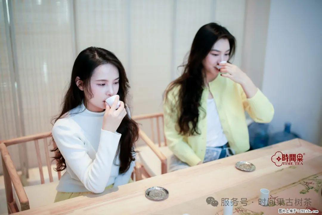 时间果百年古树龙珠普洱生茶 - 购物交流 - 哈尔滨生活社区 - 哈尔滨28生活网 hrb.28life.net