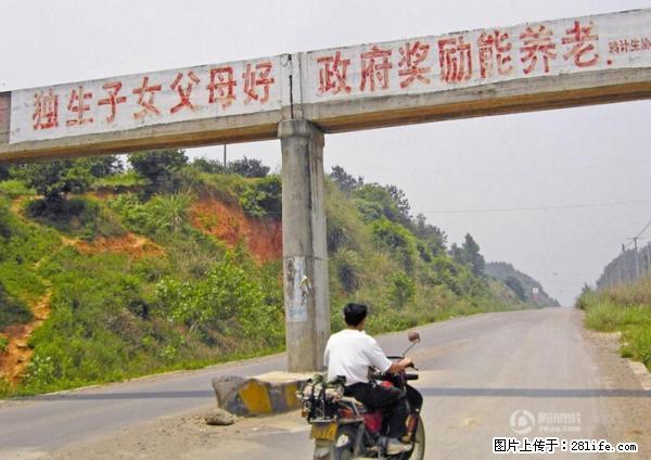 全面两孩政策计划明年元旦起实施 夫妻可延长生育假 - 哈尔滨生活资讯 - 哈尔滨28生活网 hrb.28life.net
