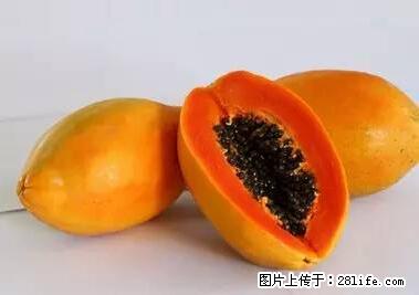 晕车、脚气、牙齿变黄、皮肤粗糙？学会这些三分钟搞定！ - 哈尔滨生活资讯 - 哈尔滨28生活网 hrb.28life.net